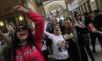 Egyptian court postpones Mubarak's trial